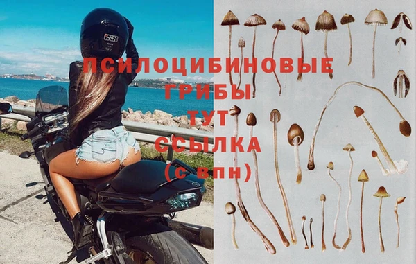 ALPHA-PVP Бронницы