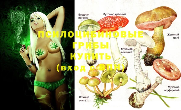 2c-b Бородино