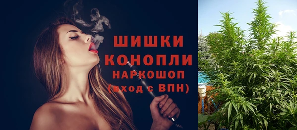 2c-b Бородино