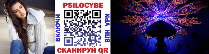 купить наркотики цена  Киселёвск  Псилоцибиновые грибы Magic Shrooms 